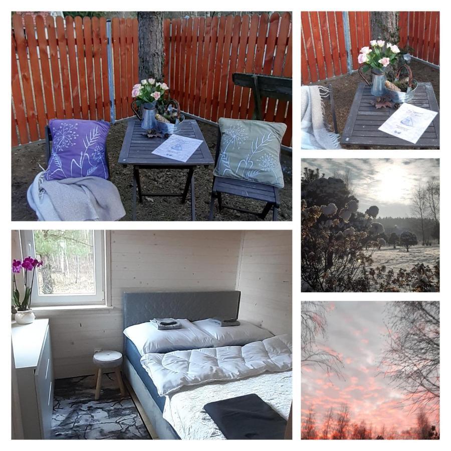 Sosnowelowe Holiday home