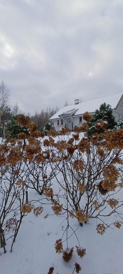 Holiday home Sosnowelowe *